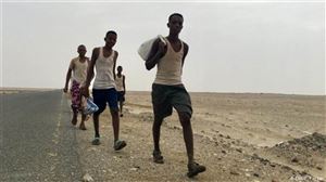 قادمة من القرن الافريقي.. تحذيرات من موجة هجرة كبيرة باتجاه اليمن والخليج