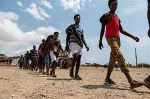 IOM:  Afrika Boynuzu ve Yemen