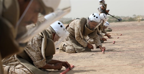 "مسام" يعلن انتزاع 919 لغماً وعبوة ناسفة خلال أسبوعين