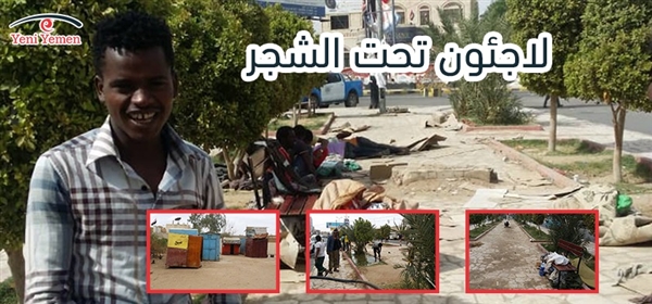 اللاجئون في مأرب.. أزمة مضاعفة