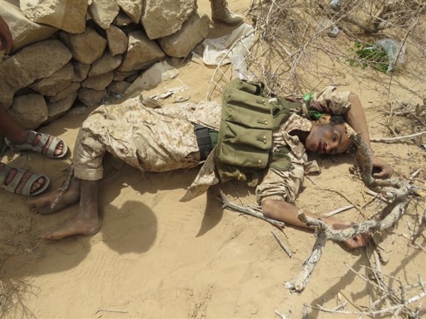 مقتل أكثر من 20 عنصر من ميليشيات الحوثي في عملية استدراج ناجحة غرب مأرب