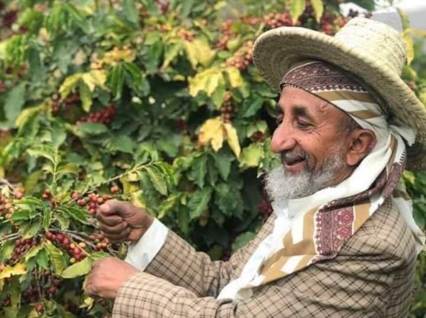 في اليوم العالمي للقهوة..منظمة دولية:العالم مدين بالشكر لليمن