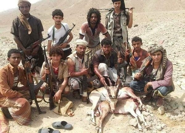 "الوعل" اصطياده متوارث منذ ما قبل الميلاد في اليمن ..ماذا تعرف عنه ؟