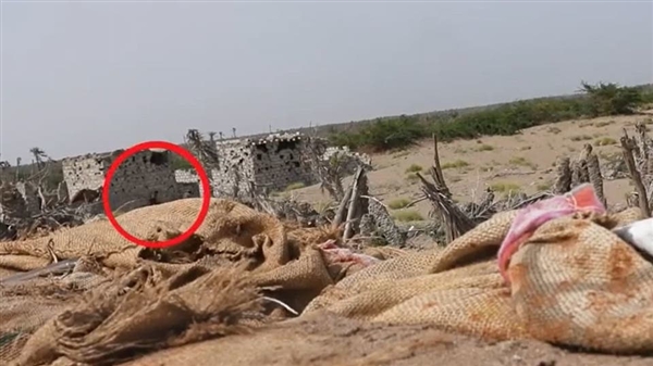 مصرع 4 مسلحين حوثيين برصاص القوات المشتركة في الحديدة