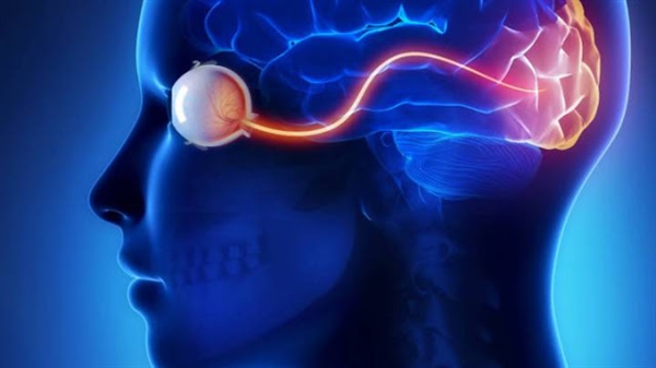 هل توقعت أن يصبح عقلك الكترونيا؟ شريحة إيلون ماسك تحقق ذلك تعرف عليها