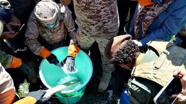 تم ضبطها في الميناء.. إتلاف كمية كبيرة من المخدرات في عدن