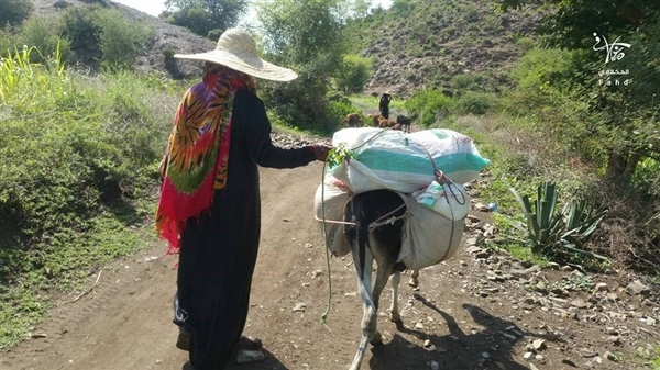 Yemen’de bin 600 aile ağaç yaprakları ve tohumları ile yaşama tutunuyor