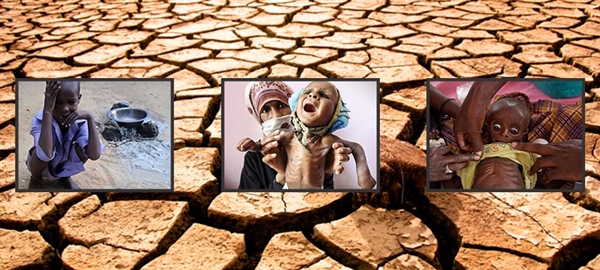 BM: Dünya genelinde 56 milyon insanın acil gıdaya ihtiyacı var