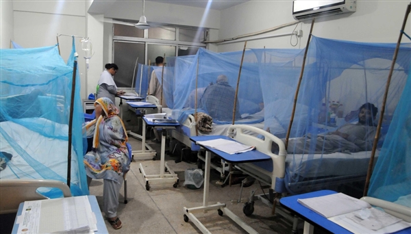 Dang hummasında korkunç bilanço