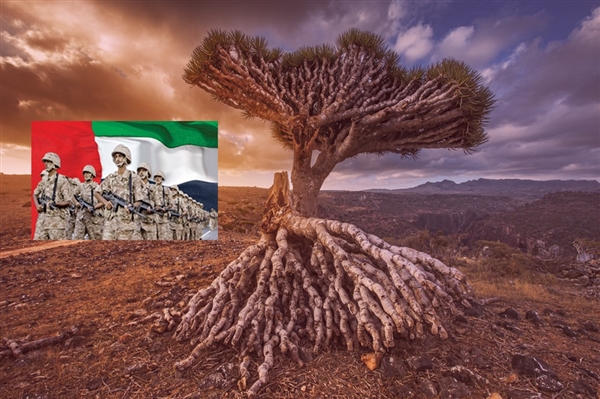 BAE'den Sokotra Adası'nda darbe girişimi