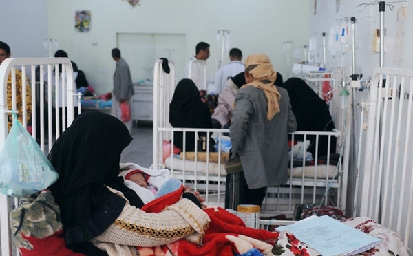 Yemen’de domuz gribi can almaya devam ediyor