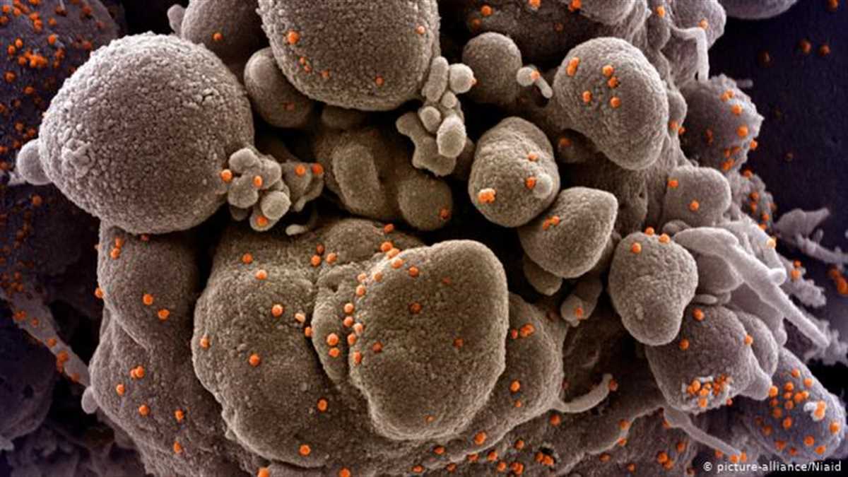 سلالة جديدة من كورونا تعزل بريطانيا عن العالم