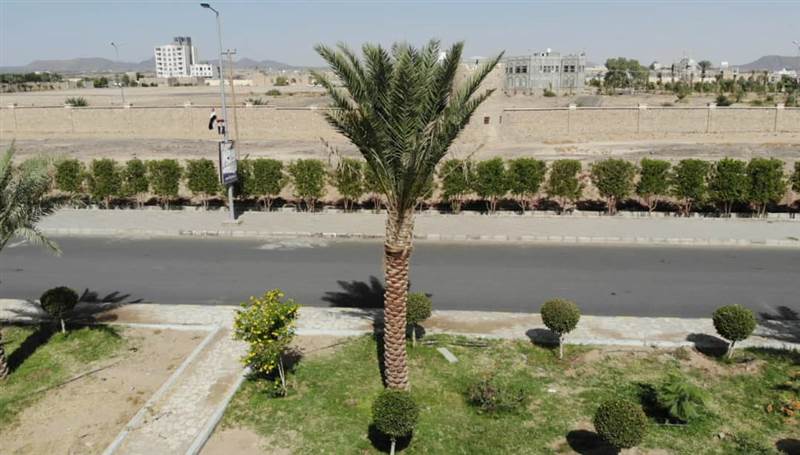 صندوق النظافة بمأرب.. صناعة للجمال في زمن الحرب