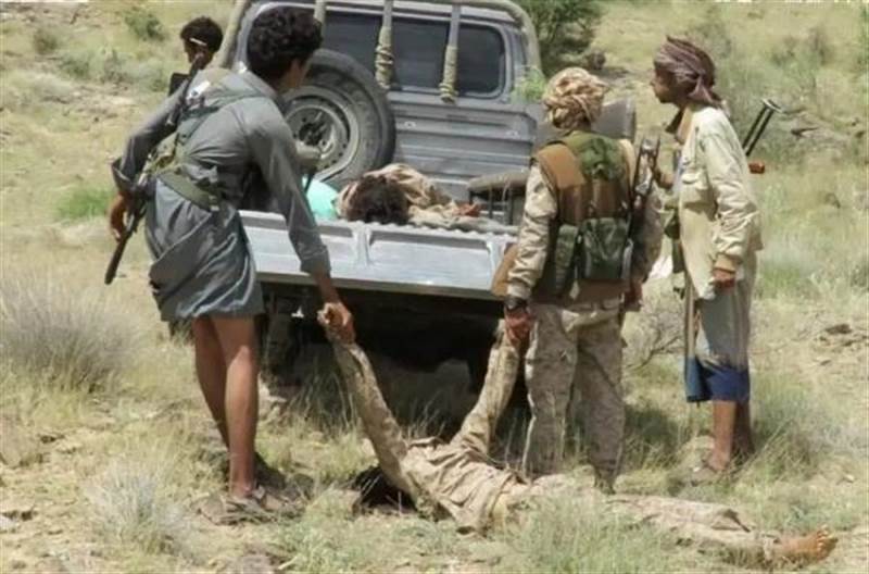 قوات الجيش تواصل التنكيل بمليشيات الحوثي الإرهابية غرب محافظة مأرب