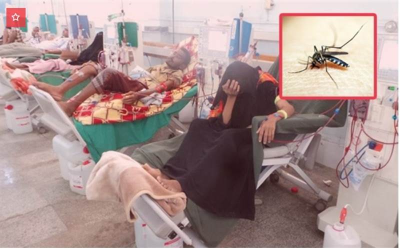 Taiz kentinde bu yılın başından bu yana binlerce sıtma vakası tespit edildi