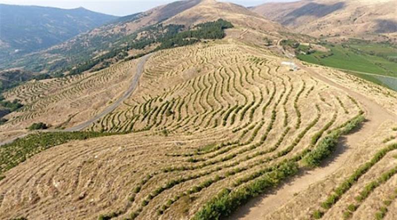 Yeni Yemen Medya Kurumu ve Yemenlilerden yeşil bir Türkiye için anlamlı katkı