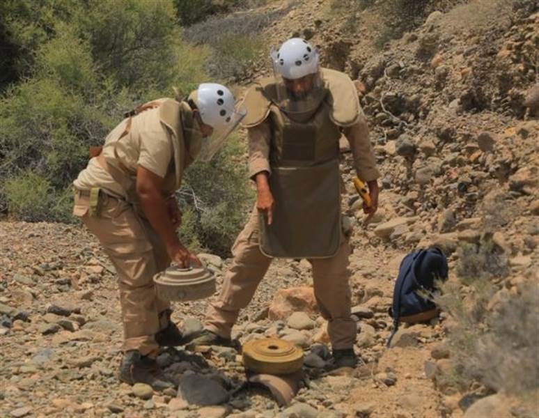 مسام يعلن انتزاع أكثر من 1,700 لغم وعبوة ناسفة خلال الأسبوع الرابع من سبتمبر