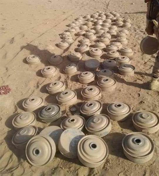 في مغامرة فريدة.. شاب يتطوع لنزع عشرات الألغام التي زرعتها المليشيات في قريته في بيحان بمحافظة شبوة