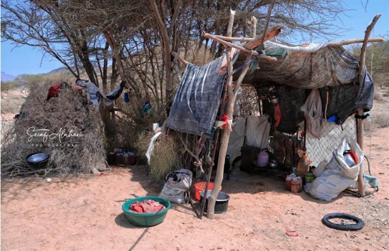 Uluslararası Göç Örgütü: 2022'nin ikinci haftasında 2 bin Yemenli yerinden edildi