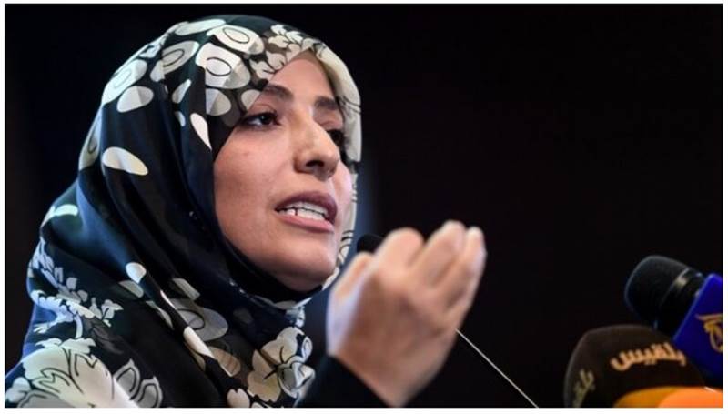 Karman: Görüşmeye katılanlar Başkanlık Konseyi kurulumunu televizyonlardan öğrendi