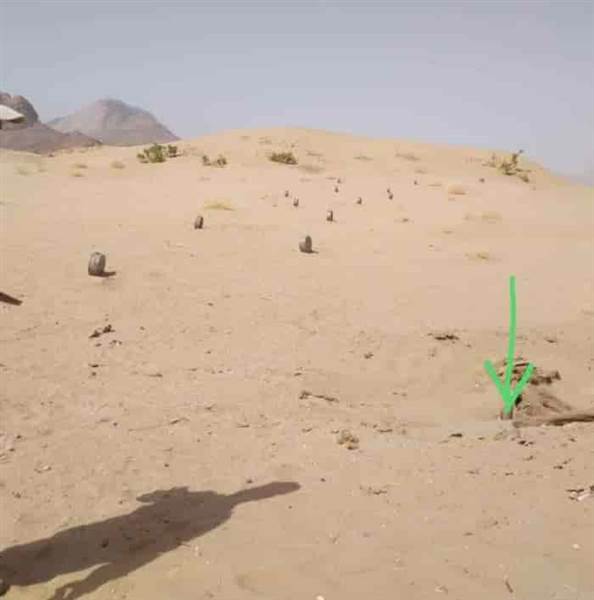 نفوق عدد من “الإبل” بسبب انفجار لغم حوثي جنوب مأرب