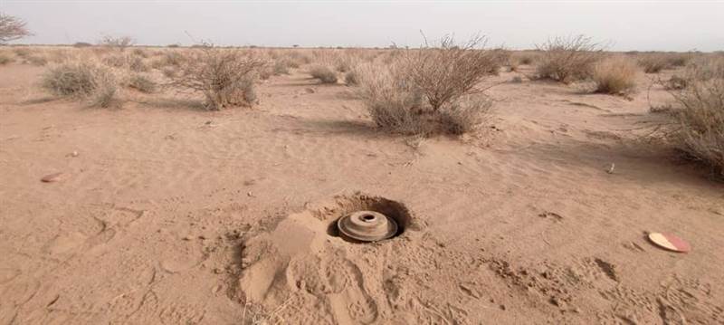 فرق مسام تنتزع أكثر 1200 لغماً وعبوة ناسفة زرعتها مليشيات الحوثي