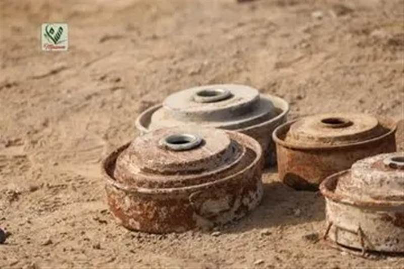 انتزاع 1,437 لغماً خلال اسبوع زرعتها المليشيا الحوثية