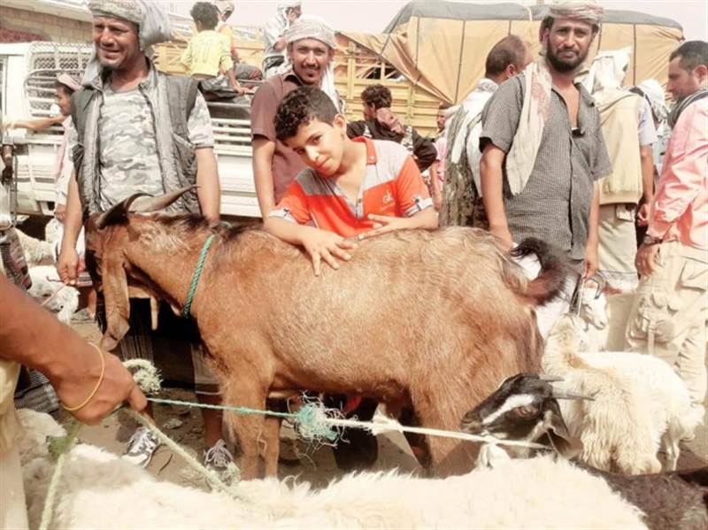 Artan fiyatlar ve geçim sıkıntısı Yemenlilerin kurban kesimini olumsuz yönde etkiliyor