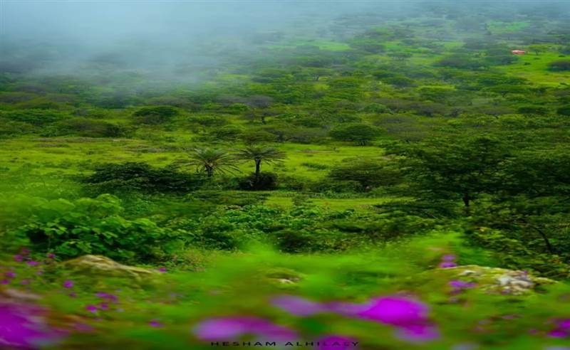صور تخطف القلوب.. مصور يكشف قصة "سويسرا" اليمن (صور)