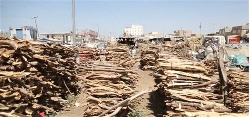 Yemen’de gaz fiyatlarındaki artış halkı yakacak olarak oduna yöneltti