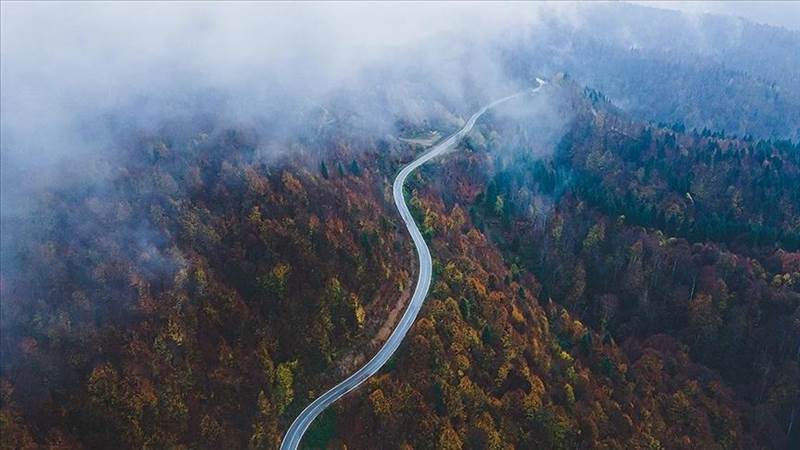 الضباب والخريف يرسمان لوحات طبيعية ساحرة شمالي تركيا