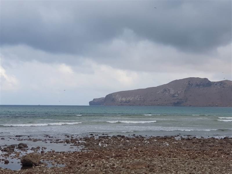 غضب واسع على مواقع التواصل بع تسليم الحكومة ميناء قشن في المهرة لشركة إماراتية