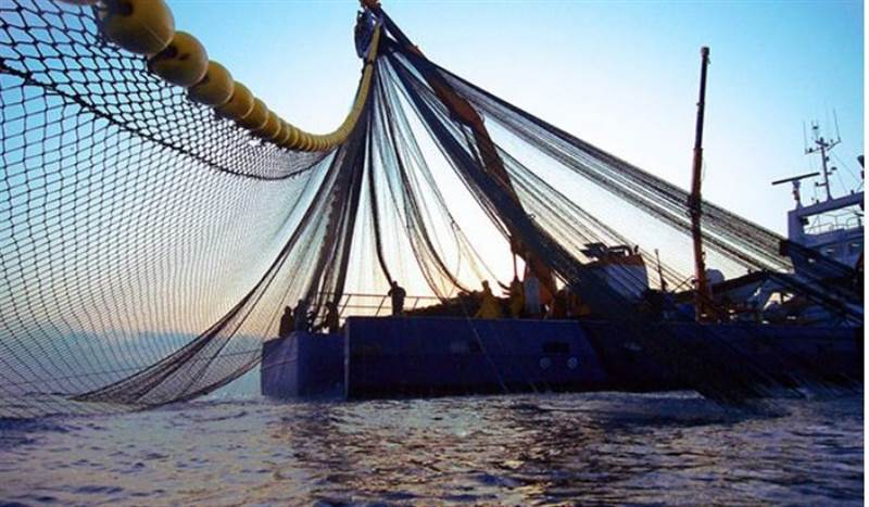 Yabancı şirketler Yemen'in balıklarını kurutuyor