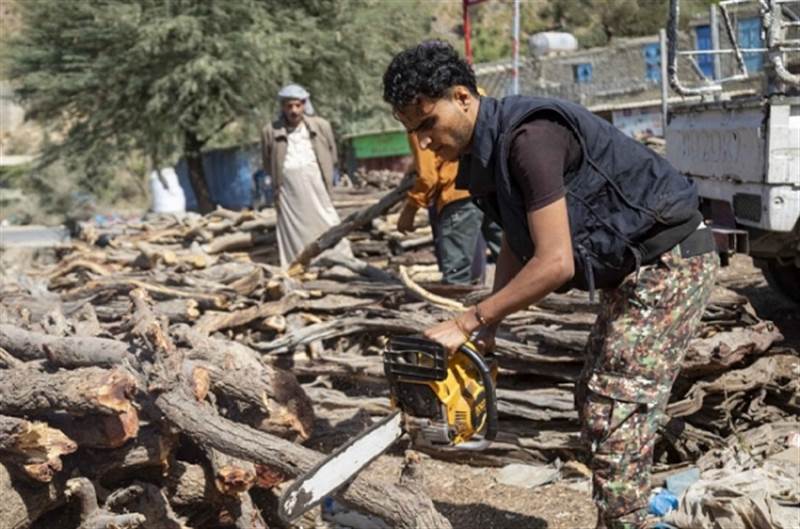قطع الأشجار بديل الغاز والوقود للسكان في اليمن