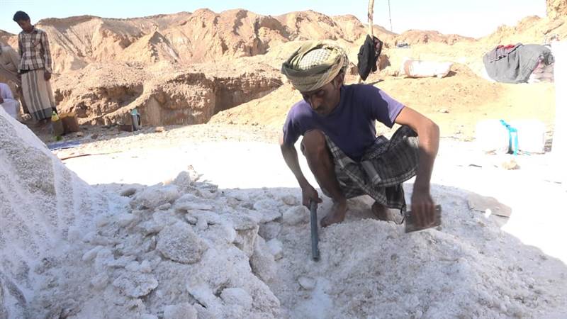 شبوة.. رجال ينحتون الصخور لكسب العيش رغم المخاطر