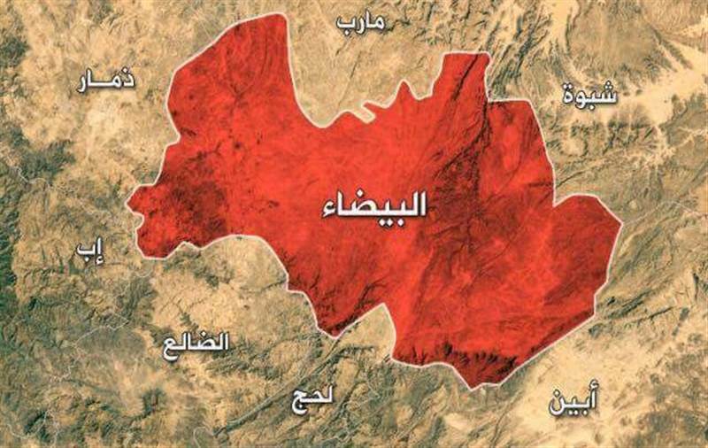 احتشاد قبلي في البيضاء وتوتر مسلح بين القبائل ومليشيات الحوثي