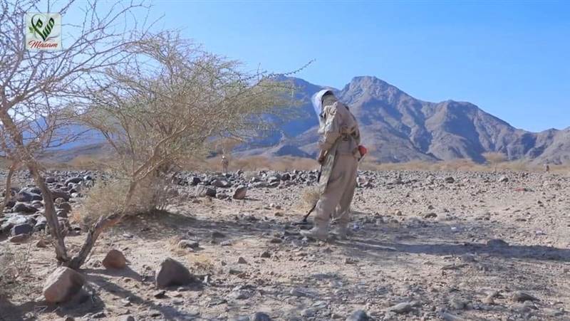 مقتل إصابة أكثر من 80 شخصا من العاملين في مشروع "مسام"