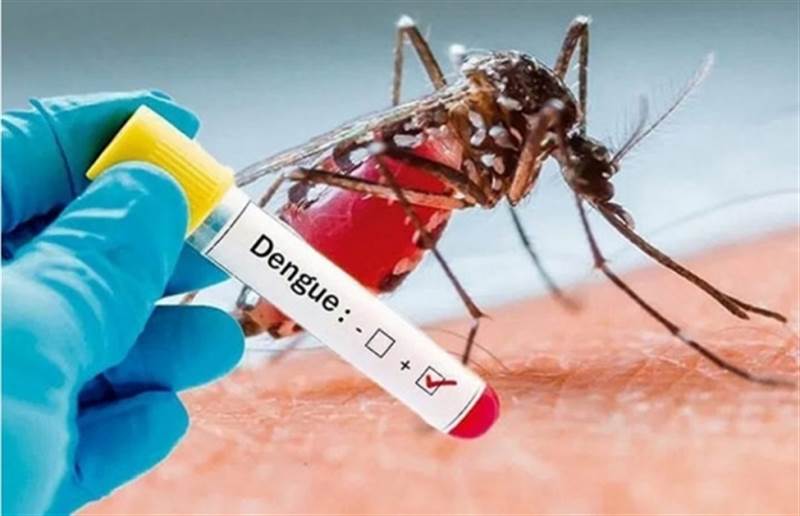 الإعلان عن تسجيل أكثر من 1500 حالة إصابة بحمى الضنك في مأرب منذ بداية العام الجاري