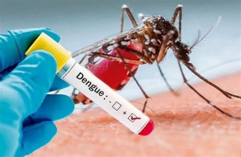 Yemen’in Taiz kentinde 700'den fazla dang humması ve kolera vakası kaydedildi