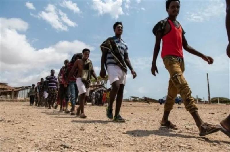 IOM: Afrika Boynuzu ve Yemen'deki göçmenlerin hayatlarını kurtarmak için 112 milyon dolar toplama çağrısında bulundu