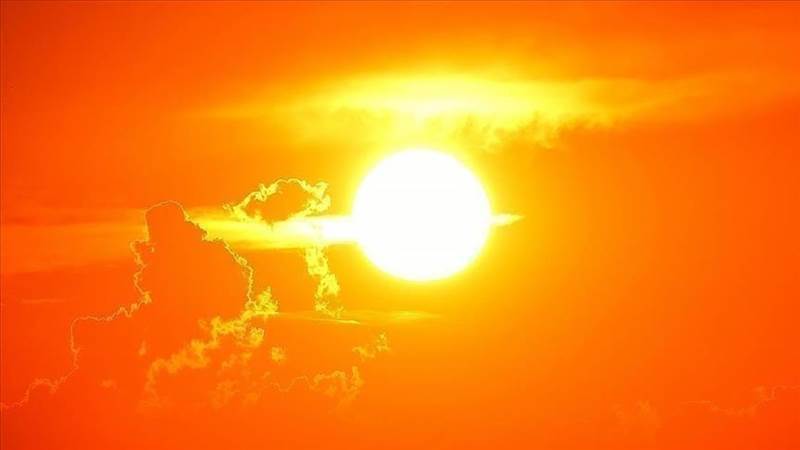 ما علاقة درجة الحرارة بانتشار الأمراض المعدية؟