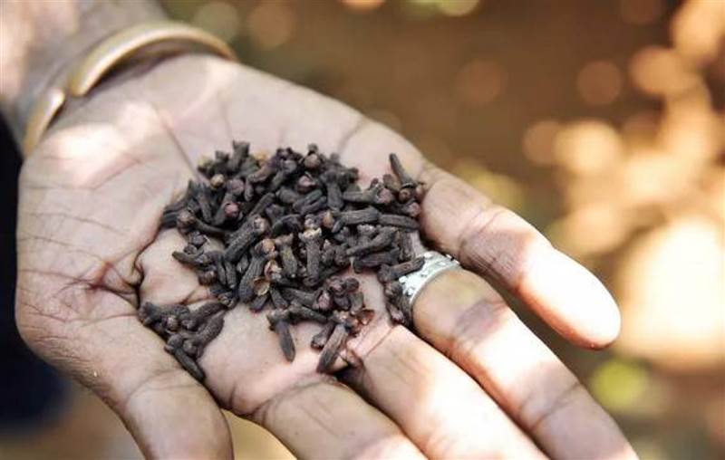 تعرف على 9 فوائد صحية كبيرة لمضغ القرنفل