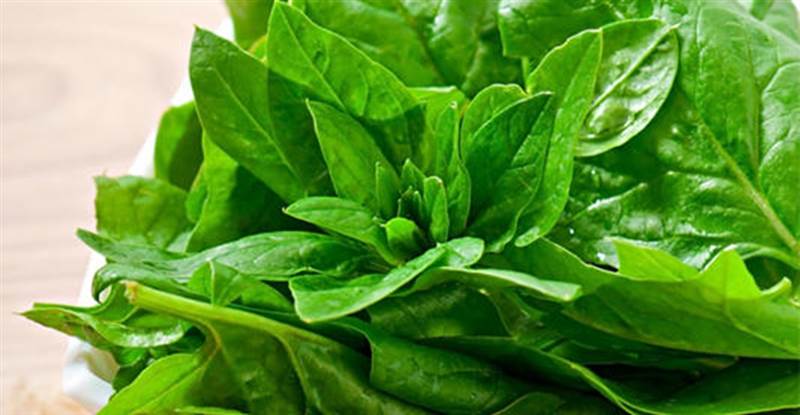 تعرف على 6 أطعمة تخفض السكر بسرعة قد تؤدي دور الأدوية