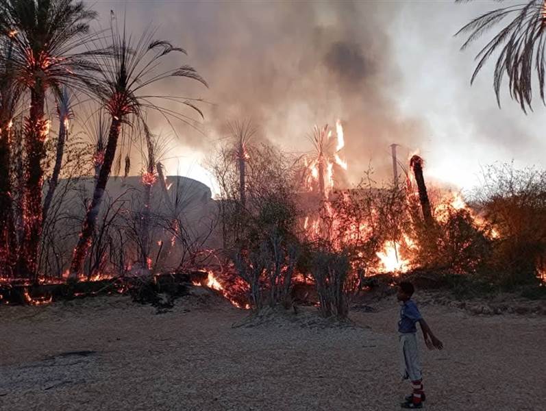 حريق يلتهم 150 نخلة في مديرية ساه بحضرموت وسط جهود إطفاء محدودة
