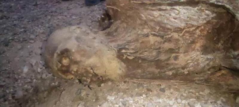 Yemen Çölünde Mumya Şoku: Altın Ararken Tarihi Keşif!