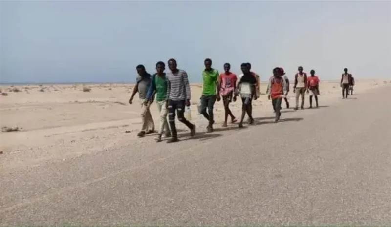 شهادات مصورة تفضح تجارة الحوثيين بالبشر.. قيادات من صعدة تدير شبكات تهريب المهاجرين عبر سواحل أبين