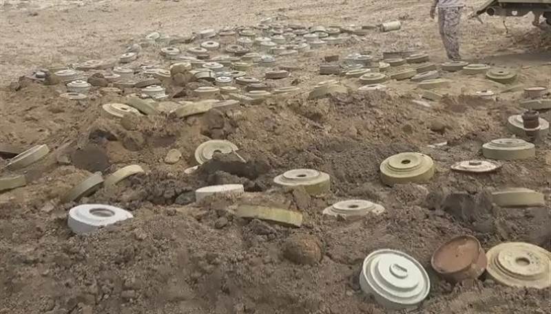 الحديدة.. انفجار حقل ألغام يودي بحياة طفلة ونفوق عدد من رؤوس الماشية