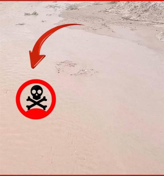 مأساة في أبين.. غرق خمس نساء من أسرة واحدة في حفرة مائية خلّفتها السيول ( الأسماء )