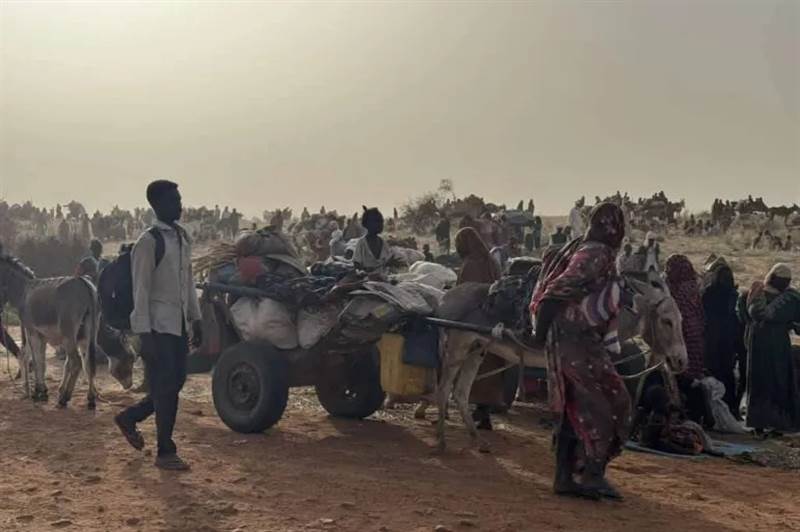 El-Fasher Massacre: Thousands Killed After Sudanese Army Withdrawal – RSF Accused of War Crimes