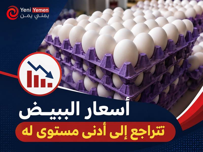 تراجع غير مسبوق لأسعار البيض في صنعاء وسط ركود اقتصادي وضعف القدرة الشرائية
